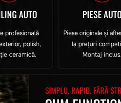 Detailing auto